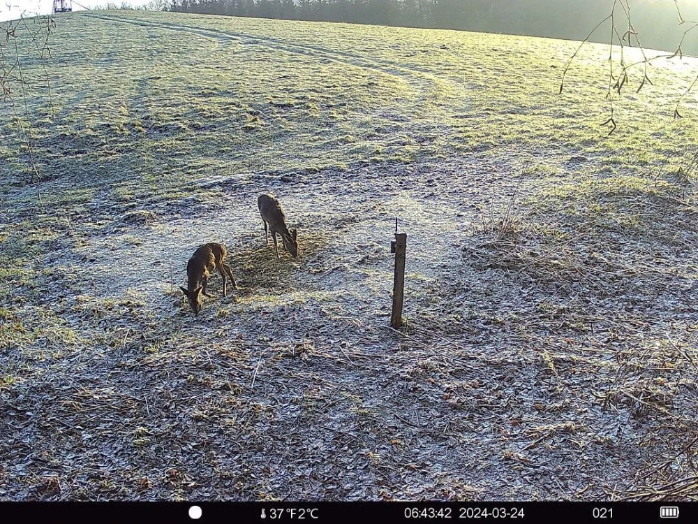 Fotopast OXE HORNET 4G, nabíječka baterií 18650 a 4ks nabíjecích baterií 18650 + 32GB SD karta, SIM a doprava ZDARMA!